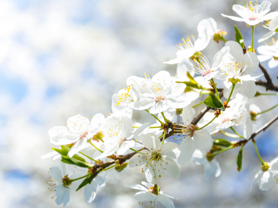 Untitled design - 2024-02-23T102952.407