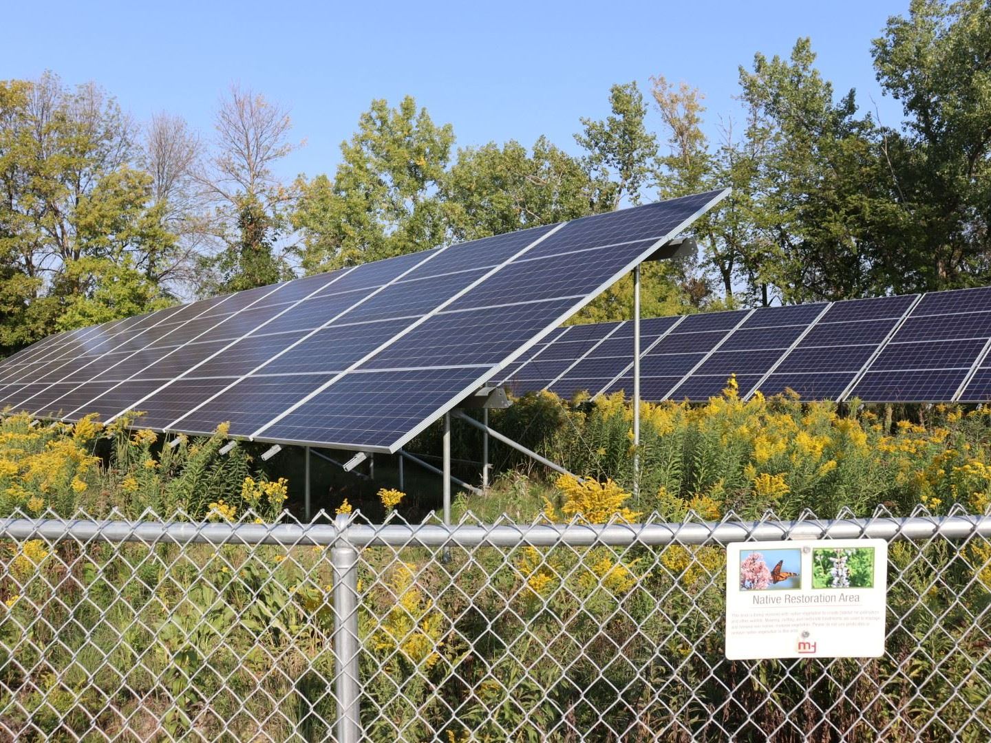City Hall Solar Panels