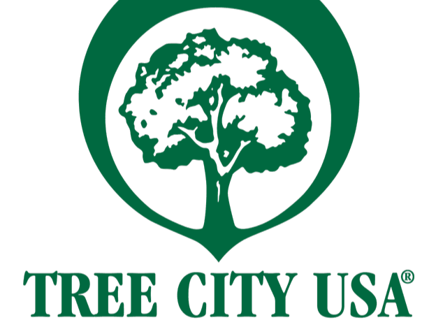 logo-tree-city-usa-color