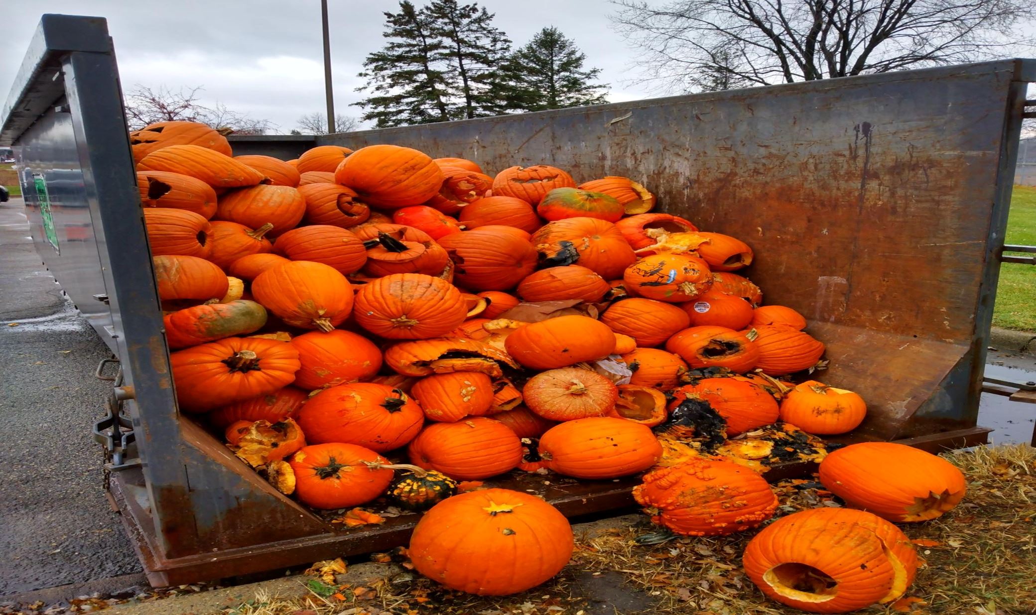MH Pumpkin Dumpster 2